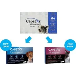 Capstar Flea Oral Treatment For Dogs, 2-25 Lbs & Elanco Dewormer For Tapeworms For Dogs -Snuggle Paws 297860 PT4. AC SS1800 V1640039482