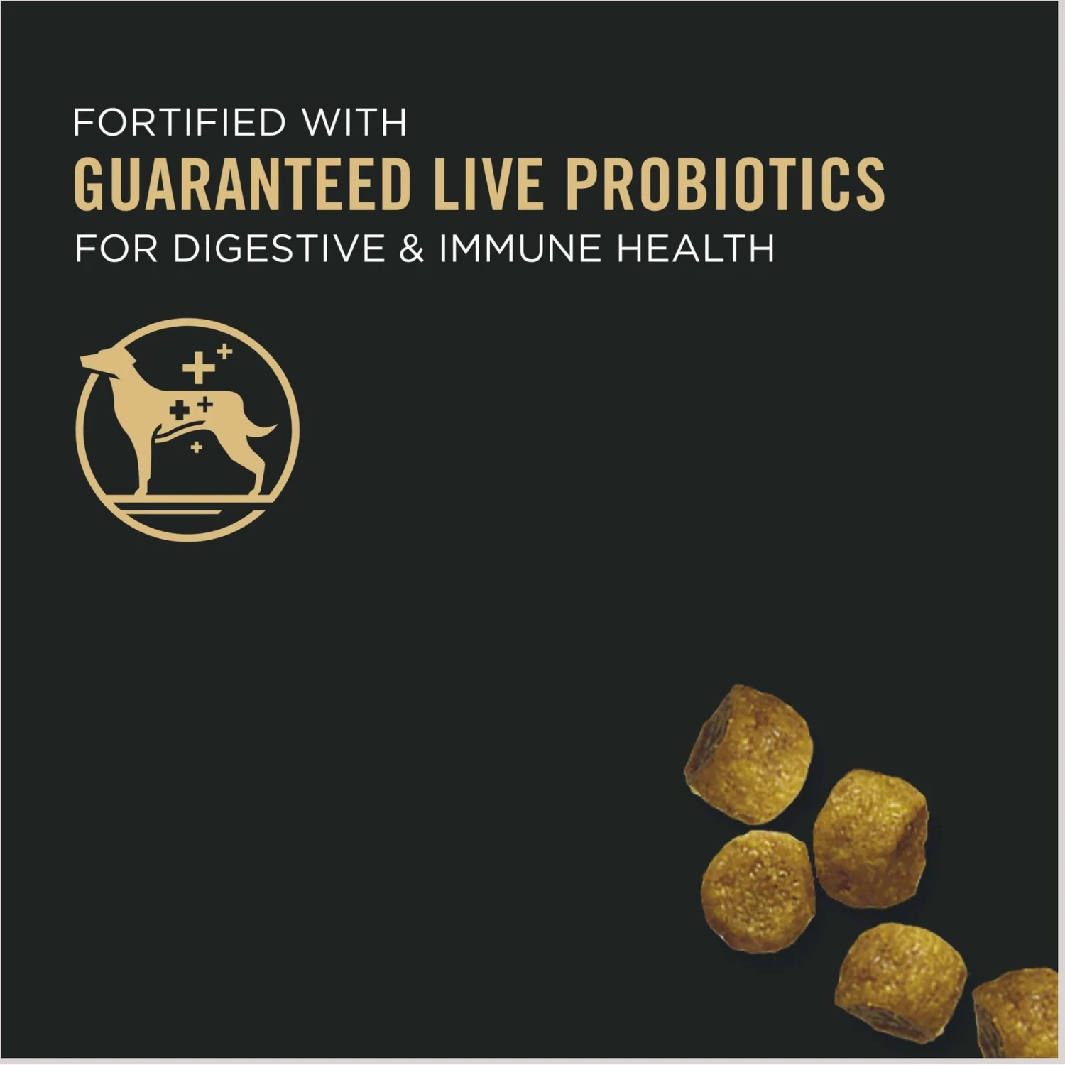 Purina Pro Plan Puppy Toy Breed Chicken & Rice Formula Dry Dog Food & Wellness Soft Puppy Bites Lamb & Salmon Recipe Grain-Free Natural Dog Treats 7 Purina Pro Plan Puppy Toy Breed Chicken & Rice Formula Dry Dog Food & Wellness Soft Puppy Bites Lamb & Salmon Recipe Grain-Free Natural Dog Treats - Image 5