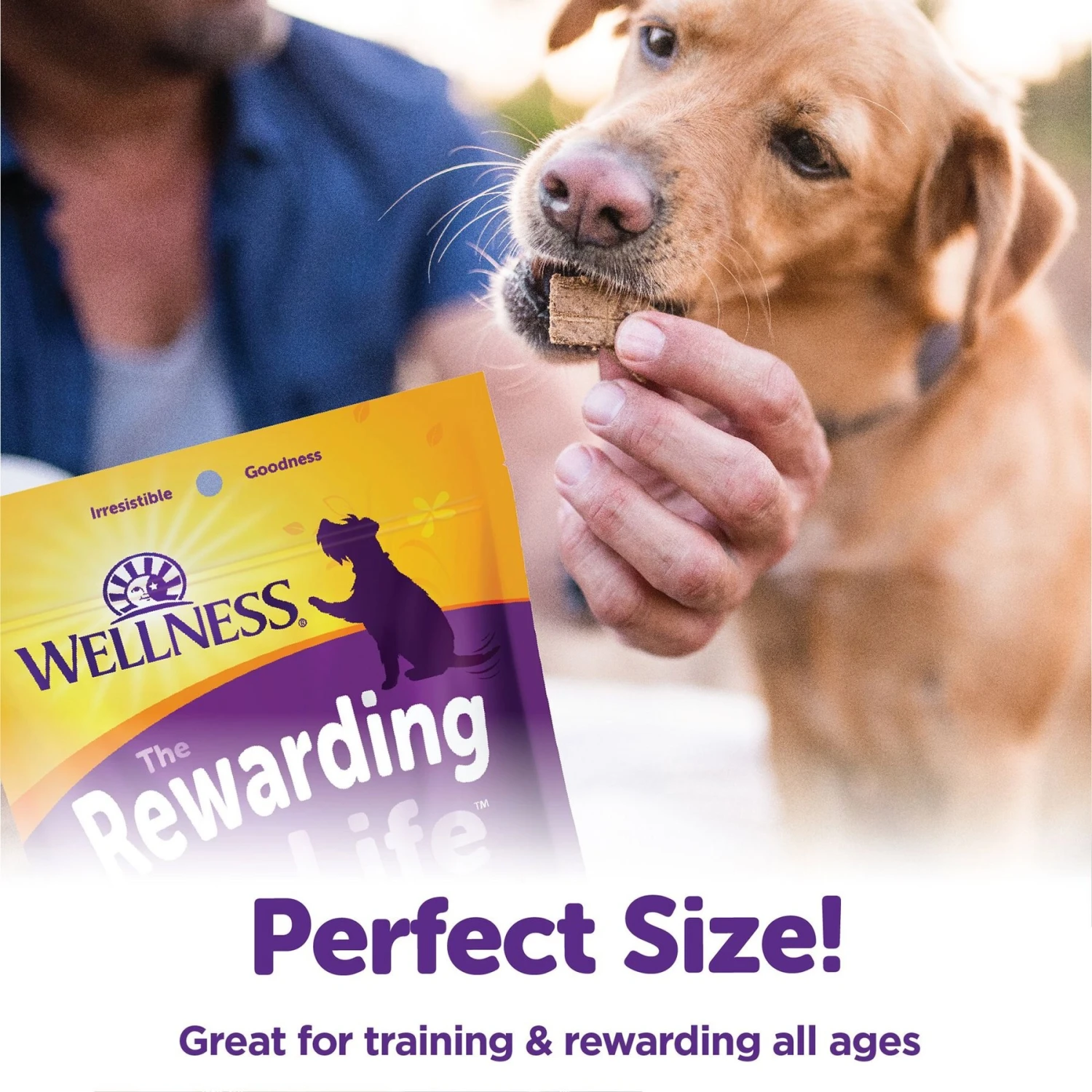 Wellness Complete Health Senior Deboned Chicken & Barley Recipe Dry Dog Food & Wellness Rewarding Life Beef & Turkey Grain-Free Soft & Chewy Natural Dog Treats 9 Wellness Complete Health Senior Deboned Chicken & Barley Recipe Dry Dog Food & Wellness Rewarding Life Beef & Turkey Grain-Free Soft & Chewy Natural Dog Treats - Image 7