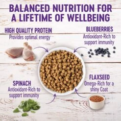 Wellness Large Breed Complete Health Puppy Deboned Chicken, Brown Rice & Salmon Meal Recipe Dry Dog Food & Wellness Complete Health Just For Puppy Canned Dog Food -Snuggle Paws 298728 PT7. AC SS1800 V1691425679