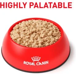 Royal Canin Veterinary Diet Recovery Ultra Soft Mousse In Sauce Wet Dog & Cat Food -Snuggle Paws 299281 PT2. AC SS1800 V1684411830