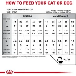 Royal Canin Veterinary Diet Recovery Ultra Soft Mousse In Sauce Wet Dog & Cat Food -Snuggle Paws 299281 PT5. AC SS1800 V1684405232