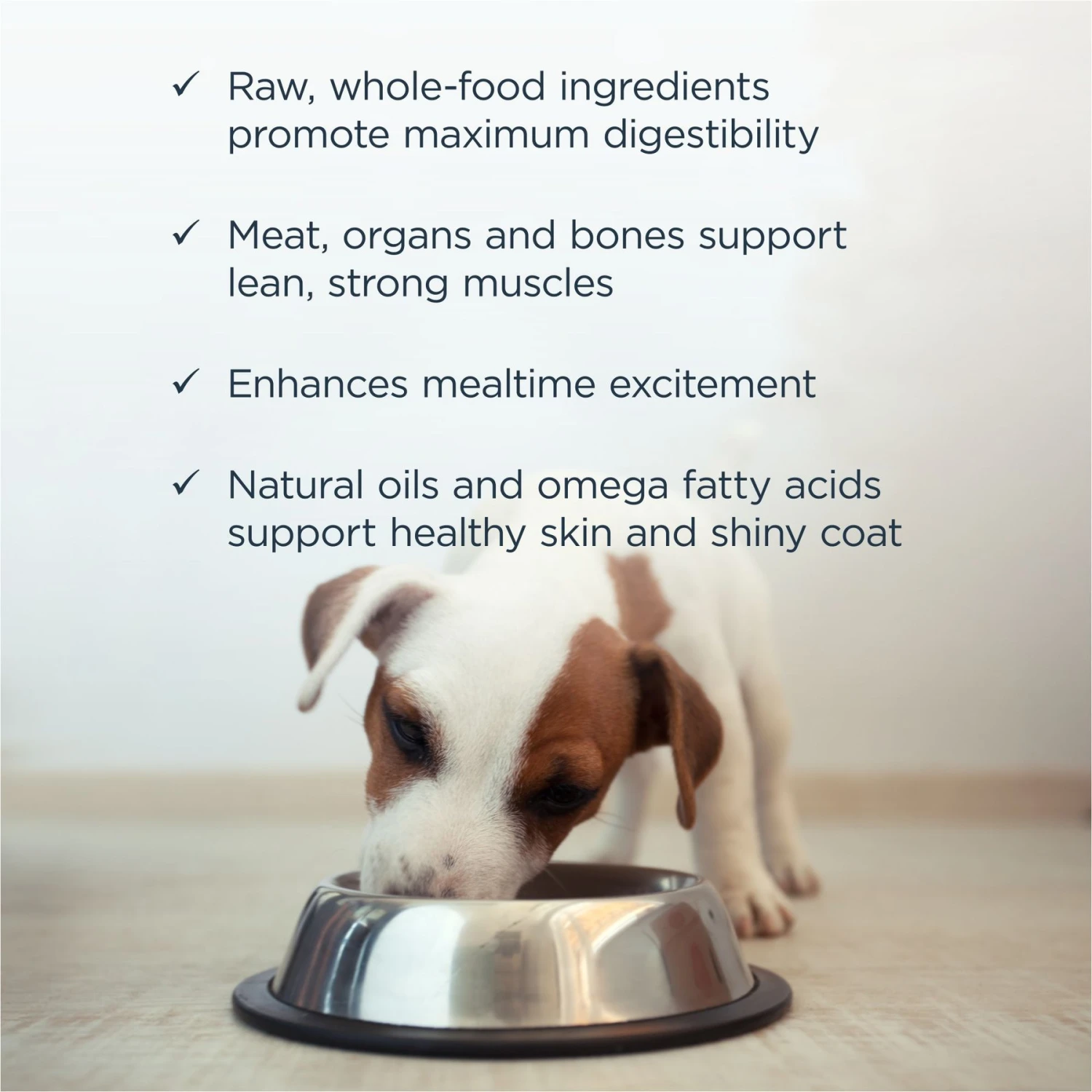 Instinct Bites Chicken Recipe Grain-Free Cage-Free Raw Frozen Puppy Food, 3-lb Bag 7 Instinct Bites Chicken Recipe Grain-Free Cage-Free Raw Frozen Puppy Food, 3-lb Bag - Image 5