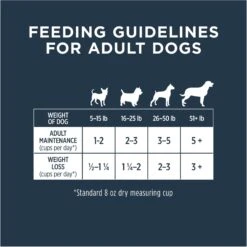 Instinct Bites Lamb Recipe Grain-Free Grass-Fed Raw Frozen Dog Food -Snuggle Paws 301673 PT7. AC SS1800 V1668199705