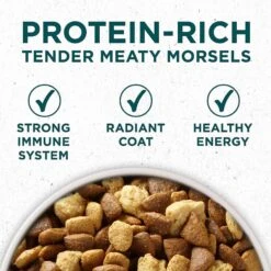 Purina ONE +Plus Natural Large Breed Formula Dry Puppy Food & Wellness Soft Puppy Bites Lamb & Salmon Recipe Grain-Free Natural Dog Treats 12 Purina ONE +Plus Natural Large Breed Formula Dry Puppy Food & Wellness Soft Puppy Bites Lamb & Salmon Recipe Grain-Free Natural Dog Treats -Snuggle Paws 302060 PT3. AC SS1800 V1622832139
