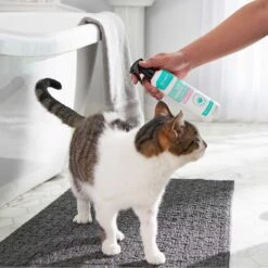 Frisco Aloe Hydrating Dog & Cat Spray, Sweet Nectar Scent & Frisco Oatmeal Dog & Cat Shampoo, Almond Scent -Snuggle Paws 303372 PT4. AC SS1800 V1623076060