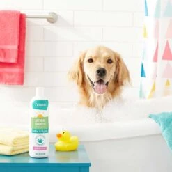 Frisco Aloe Hydrating Dog & Cat Spray, Sweet Nectar Scent & Frisco Oatmeal Dog & Cat Shampoo, Almond Scent -Snuggle Paws 303372 PT7. AC SS1800 V1623066760