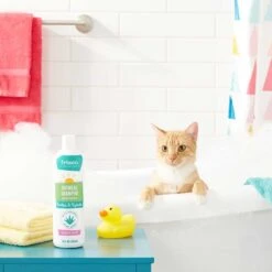 Frisco Aloe Hydrating Dog & Cat Spray, Sweet Nectar Scent & Frisco Oatmeal Dog & Cat Shampoo, Almond Scent -Snuggle Paws 303372 PT8. AC SS1800 V1623070966