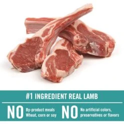 Chicken Soup For The Soul Lamb & Pea Recipe Grain-Free Dry Dog Food, 10-lb Bag -Snuggle Paws 305232 PT2. AC SS1800 V1622852915