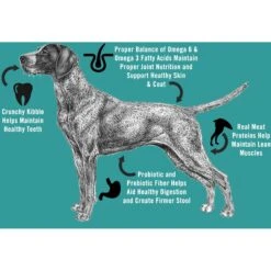 Chicken Soup For The Soul Lamb & Pea Recipe Grain-Free Dry Dog Food, 10-lb Bag -Snuggle Paws 305232 PT3. AC SS1800 V1622847492