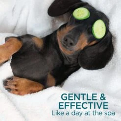 TevraPet Activate II Flea & Tick Dog Shampoo, 12-oz Bottle -Snuggle Paws 306649 PT5. AC SS1800 V1623367118