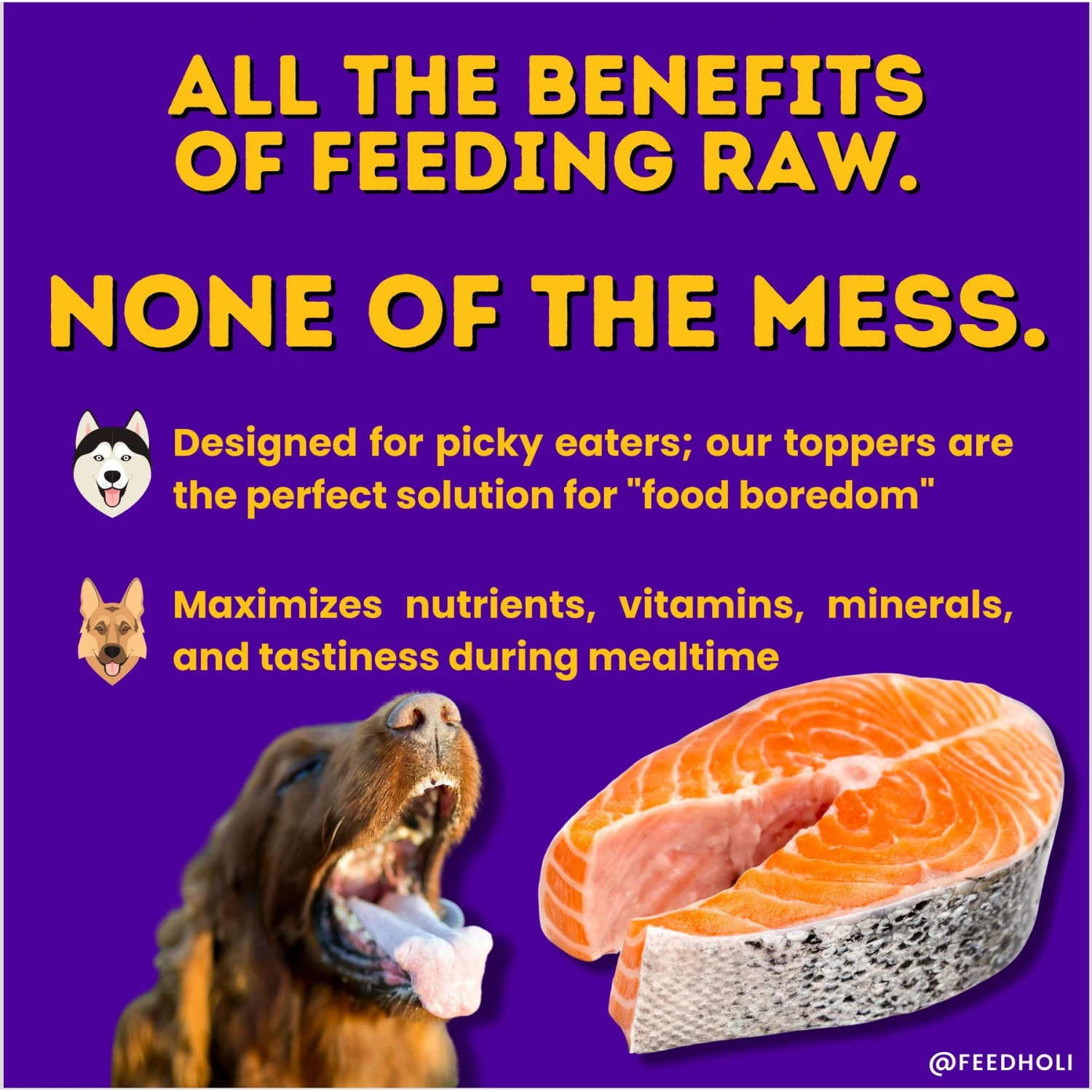 HOLI Wild Caught Salmon Protein Pack Grain-Free Freeze-Dried Dog Food Topper 6 HOLI Wild Caught Salmon Protein Pack Grain-Free Freeze-Dried Dog Food Topper - Image 4