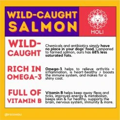 HOLI Wild Caught Salmon Protein Pack Grain-Free Freeze-Dried Dog Food Topper 14 HOLI Wild Caught Salmon Protein Pack Grain-Free Freeze-Dried Dog Food Topper -Snuggle Paws 308507 PT5. AC SS1800 V1693947966