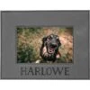 904 Custom Personalized Pet Name Leatherette Picture Frame -Snuggle Paws 314646 MAIN. AC SS1800 V1626240120