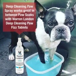 Warren London Deep Cleaning Paw Dog Spray, 8-oz Bottle -Snuggle Paws 316261 PT4. AC SS1800 V1627306592