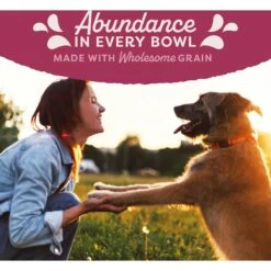 Natural Balance Original Ultra Fat Dogs Chicken & Salmon Recipe In Broth Wet Dog Food -Snuggle Paws 316433 PT5. AC SS1800 V1684442813