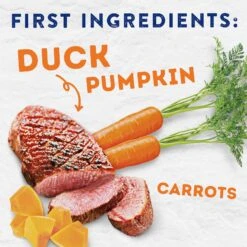 Natural Balance Platefulls Savory Duck & Pumpkin Recipe Wet Dog Food -Snuggle Paws 316435 PT3. AC SS1800 V1627597616