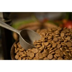 Regal Pet Foods Lean Recipe Dry Dog Food -Snuggle Paws 316453 PT3. AC SS1800 V1630335588