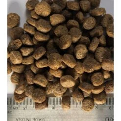 Regal Pet Foods Puppy Recipe Dry Dog Food 9 Regal Pet Foods Puppy Recipe Dry Dog Food -Snuggle Paws 316458 PT3. AC SS1800 V1630335882