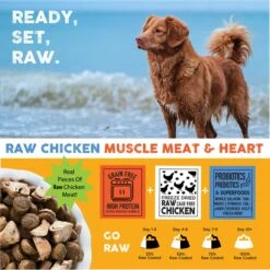 Nature's Diet Raw Mix Kibble Chicken Liver Inclusions Freeze Dried-Dog Food, 5-lb Bag 16 Nature's Diet Raw Mix Kibble Chicken Liver Inclusions Freeze Dried-Dog Food, 5-lb Bag -Snuggle Paws 318145 PT6. AC SS1800 V1628806018