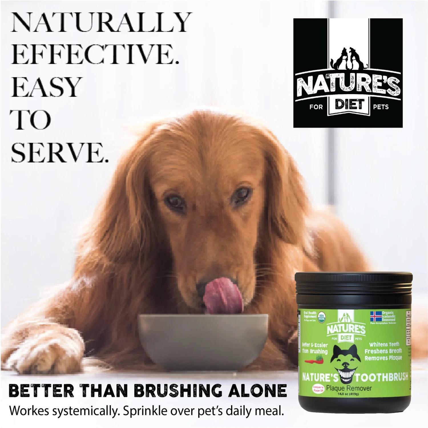 Nature's Diet Toothbrush Systemic Plaque Remover Dry Dog Food Topping, 14.8-oz Jar 6 Nature's Diet Toothbrush Systemic Plaque Remover Dry Dog Food Topping, 14.8-oz Jar - Image 4