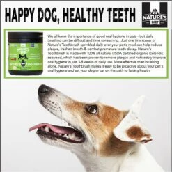 Nature's Diet Toothbrush Systemic Plaque Remover Dry Dog Food Topping, 14.8-oz Jar 14 Nature's Diet Toothbrush Systemic Plaque Remover Dry Dog Food Topping, 14.8-oz Jar -Snuggle Paws 318153 PT4. AC SS1800 V1628802407