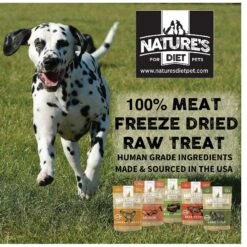 Nature's Diet Chicken Breast Raw Freeze-Dried Dog Treats, 3-oz Pouch 15 Nature's Diet Chicken Breast Raw Freeze-Dried Dog Treats, 3-oz Pouch -Snuggle Paws 318165 PT5. AC SS1800 V1628802742