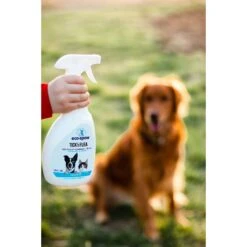 EcoSpaw Lavender Scented Flea & Tick Dog Spray, 8-oz Bottle 12 EcoSpaw Lavender Scented Flea & Tick Dog Spray, 8-oz Bottle -Snuggle Paws 321811 PT4. AC SS1800 V1632812531