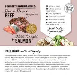 The Honest Kitchen Gourmet Grains Beef & Salmon Recipe Dehydrated Dog Food -Snuggle Paws 326000 PT2. AC SS1800 V1659908958