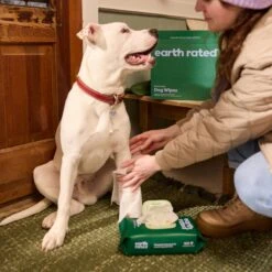 Earth Rated Dog Wipes, Thick Plant Based Grooming Wipes -Snuggle Paws 328858 PT4. AC SS1800 V1686238427