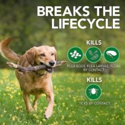 Vet's Best Advanced Strength Flea & Tick Dog Shampoo & Vet's Best Flea + Tick Yard & Kennel Spray For Dogs -Snuggle Paws 338735 PT3. AC SS1800 V1635893601