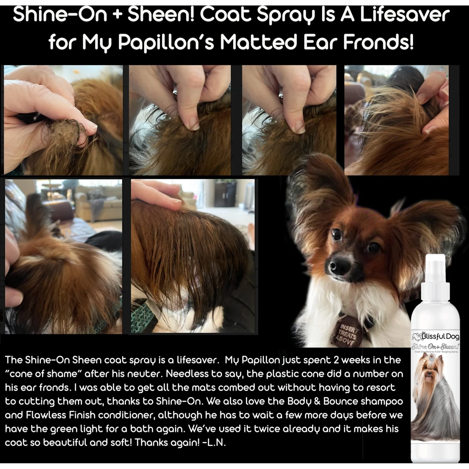 The Blissful Dog Shine-On+Sheen Dog De-Tangling Coat Spray 5 The Blissful Dog Shine-On+Sheen Dog De-Tangling Coat Spray - Image 3