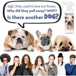 The Blissful Dog Fresh Flat Face Wash For Dogs 10 The Blissful Dog Fresh Flat Face Wash For Dogs -Snuggle Paws 343994 PT2. AC SS1800 V1635519771