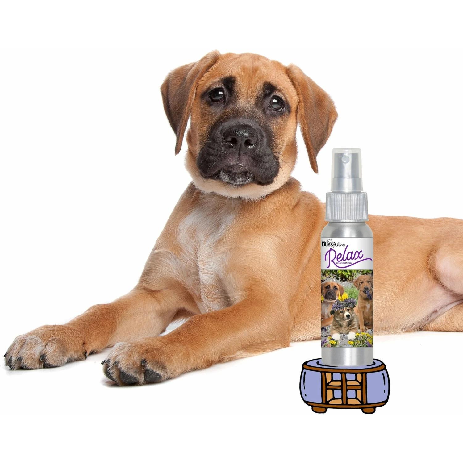 The Blissful Dog Relax Dog Aromatherapy Spray, 2.76-oz 4 The Blissful Dog Relax Dog Aromatherapy Spray, 2.76-oz - Image 2