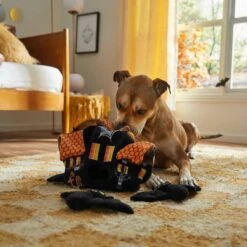 Frisco Halloween Haunted House Hide & Seek Puzzle Plush Squeaky Dog Toy -Snuggle Paws 344136 PT3. AC SS1800 V1657657042