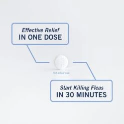 PetArmor CapAction Oral Flea Treatment For Dogs 2-25lbs 6 Doses -Snuggle Paws 346079 PT6. AC SS1800 V1696533830