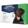 PetArmor CapAction Oral Flea Treatment For Dogs 25+ Lbs 6 Doses -Snuggle Paws 346081 MAIN. AC SS1800 V1696521278