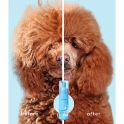 Dr. Cuddles Everyday Foaming Dog & Cat Dry Shampoo -Snuggle Paws 347433 PT3. AC SS1800 V1652302590