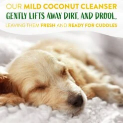 TropiClean Hypoallergenic Deodorizing Dog Wipes, 20 Count -Snuggle Paws 347451 PT5. AC SS1800 V1683063666