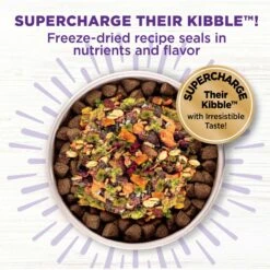 Wellness Bowl Boosters Plant Based Immunity Health Dog Food Topper, 4-oz Bag -Snuggle Paws 347665 PT2. AC SS1800 V1703709256