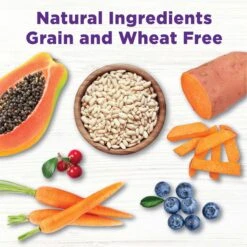 Wellness Bowl Boosters Plant Based Immunity Health Dog Food Topper, 4-oz Bag -Snuggle Paws 347665 PT4. AC SS1800 V1703709257