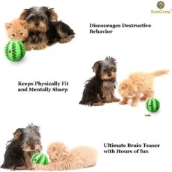 SunGrow Interactive Chew Ball Treat Dispenser Dog & Cat Teething Toy 11 SunGrow Interactive Chew Ball Treat Dispenser Dog & Cat Teething Toy -Snuggle Paws 352931 PT3. AC SS1800 V1639435343