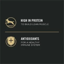 Purina Pro Plan Sport Puppy High Protein Chicken & Rice Wet Dog Food, 13-oz Can, Case Of 12 -Snuggle Paws 352974 PT3. AC SS1800 V1638474988