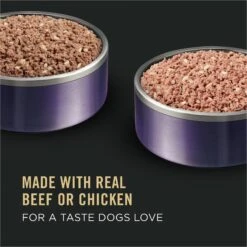 Purina Pro Plan Sport Development Puppy High Protein Beef & Rice Entrée & Chicken & Rice Entrée Variety Pack Wet Dog Food, 13-oz Can, Case Of 12 -Snuggle Paws 352976 PT2. AC SS1800 V1638470832