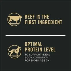 Purina Pro Plan 7+ Complete Essentials Shredded Blend Beef & Rice Formula High Protein Dog Food -Snuggle Paws 352980 PT6. AC SS1800 V1649201226