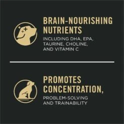 Purina Pro Plan Sport Development Large Breed High-Protein 30/18 Chicken & Rice Formula Puppy Food 19 Purina Pro Plan Sport Development Large Breed High-Protein 30/18 Chicken & Rice Formula Puppy Food -Snuggle Paws 352983 PT8. AC SS1800 V1661831642