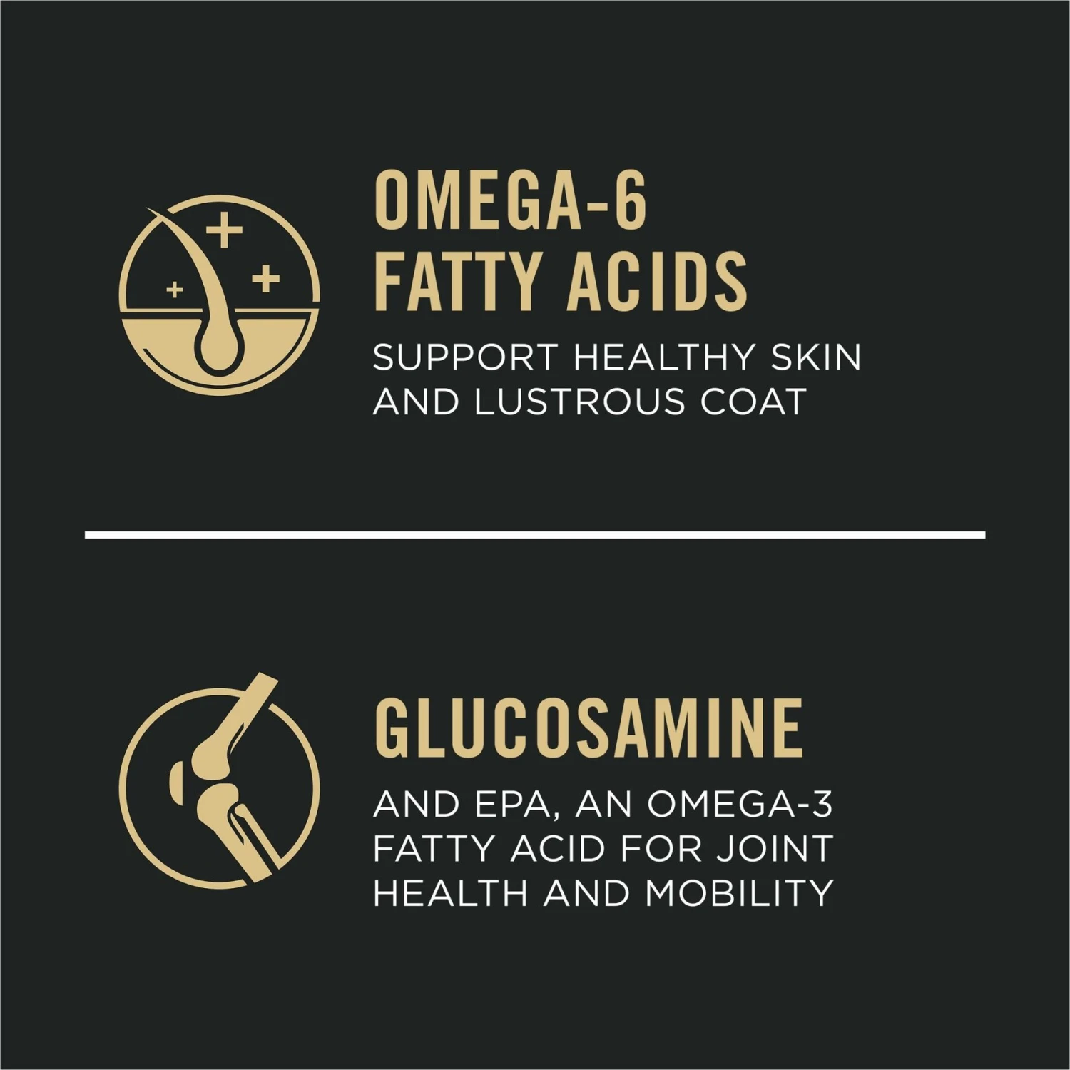 Purina Pro Plan Sensitive Skin & Stomach 7+ Salmon & Rice Formula Dry Dog Food 7 Purina Pro Plan Sensitive Skin & Stomach 7+ Salmon & Rice Formula Dry Dog Food - Image 5