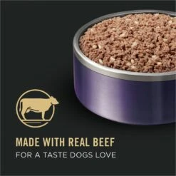 Purina Pro Plan Sport Development Puppy High Protein Beef & Rice Wet Dog Food, 13-oz Can, Case Of 12 -Snuggle Paws 352991 PT1. AC SS1800 V1638470809