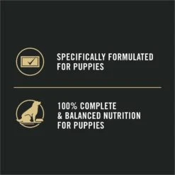 Purina Pro Plan Sport Development Puppy High Protein Beef & Rice Wet Dog Food, 13-oz Can, Case Of 12 -Snuggle Paws 352991 PT7. AC SS1800 V1638480406