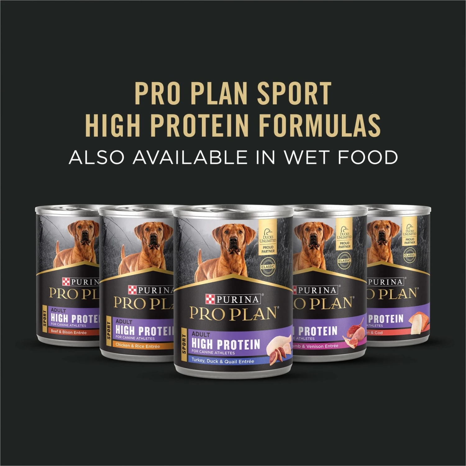 Purina Pro Plan Sport Performance Senior High-Protein 30/17 Chicken & Rice Formula Dog Food 9 Purina Pro Plan Sport Performance Senior High-Protein 30/17 Chicken & Rice Formula Dog Food - Image 7